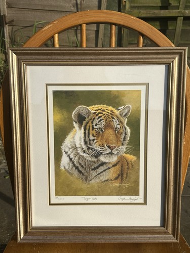 Limited edition tiger - 🐯, cub