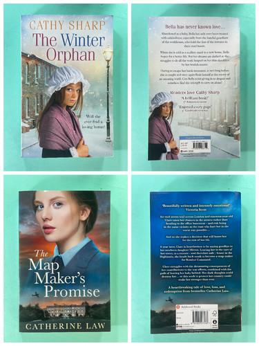 Historical fiction book - historical,