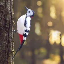 Simulation Woodpecker Model