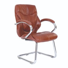 Italian Leather Faced Visitor