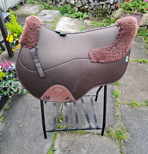 Premier equine close - equine,