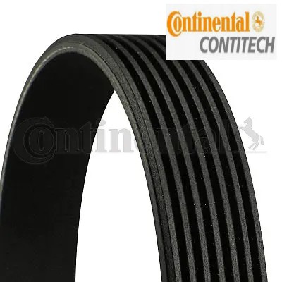 Ribbed belt fits - belt,