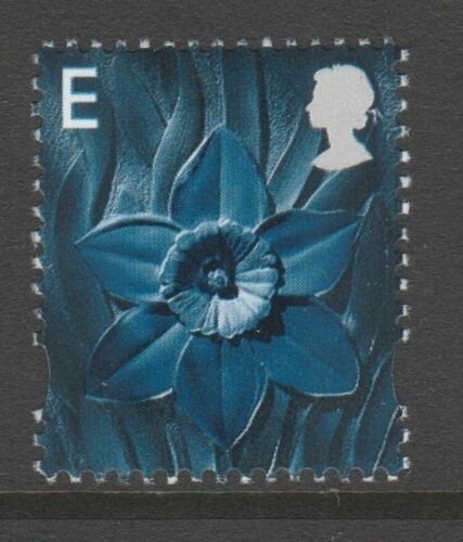 W85 xw58 daffodil - e, wales