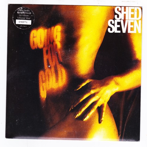 Shed seven going for gold - shed,