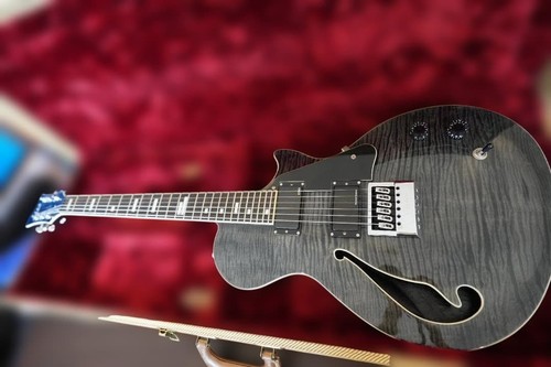 Esp ltd evertune electric - esp, bw-1