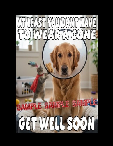 Get well soon - , rude
