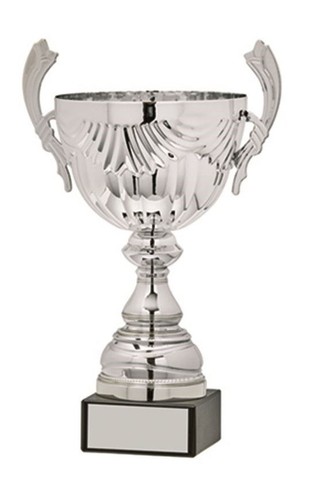 Personalised cup trophy - trophy,