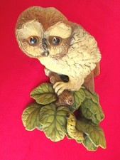 BOSSONS OWLET OWL BIRD