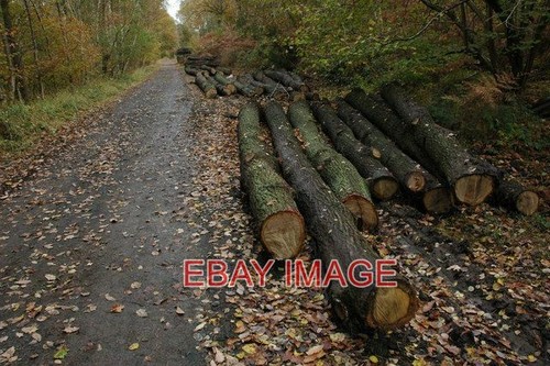 Photo disused railway through - railway,