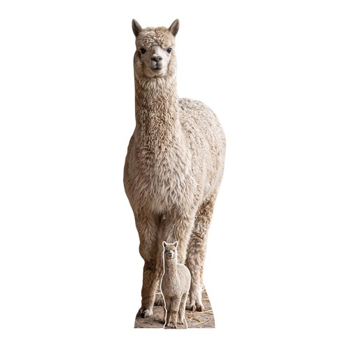 Alpaca cardboard cutout - alpaca,
