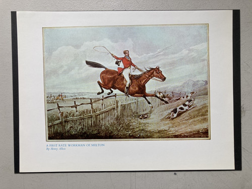 Vintage fox hunting - fox, a