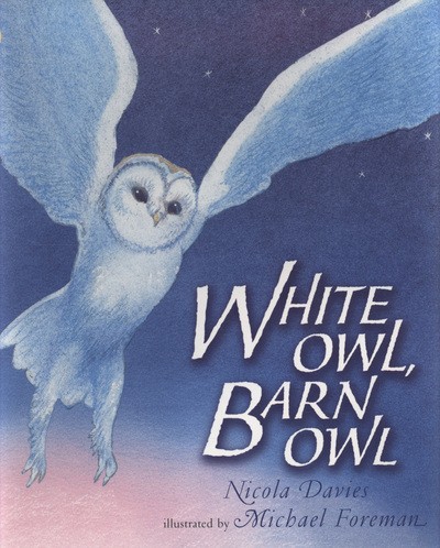 White owl barn - white, owl,