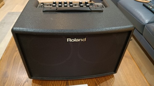 Roland ac60 acoustic - ac60,