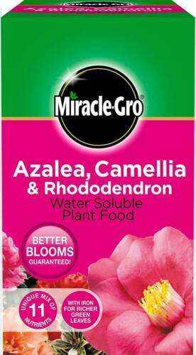 Miracle gro azalea camellia - miracle-gro, &