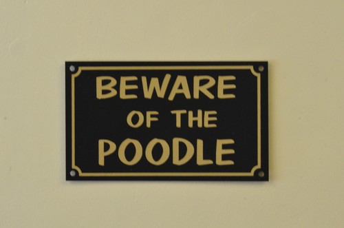Beware the poodle sign - sign, /