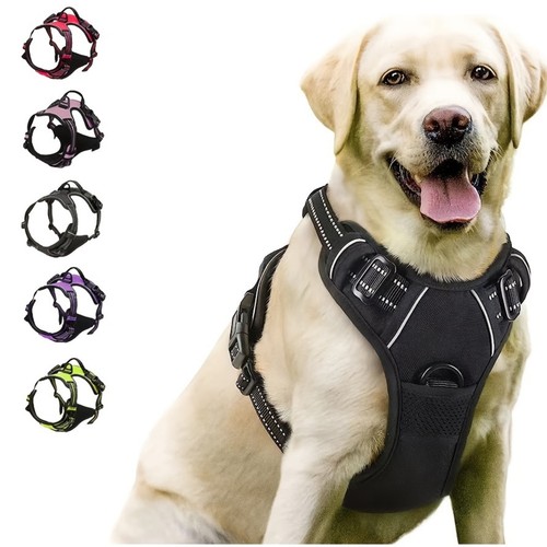 Dog harness pull - harness, for
