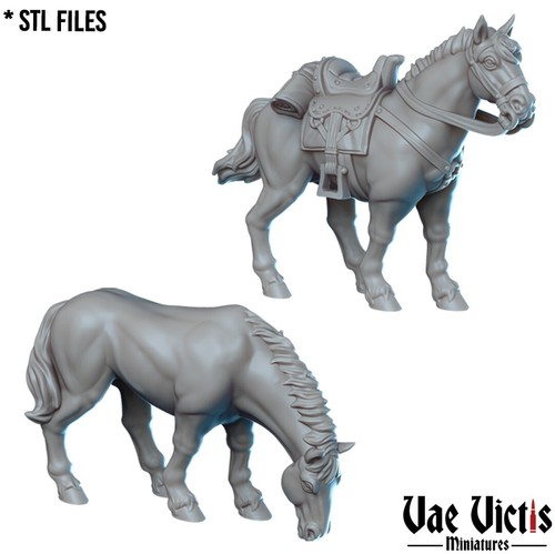 Pack pony horse mule - pony,,