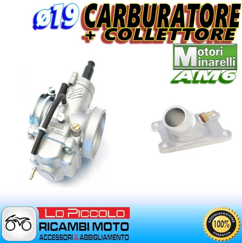 Polini carburetor ø19 - cp,
