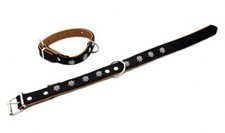 Heim Star Dog Collor In Black Diver & Beige - Size 50cm - New With Tags 