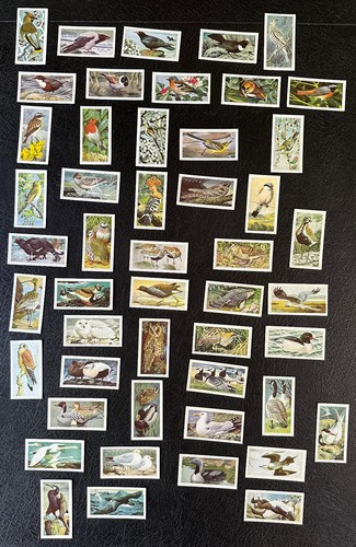 Brooke bond tea cards - brooke,