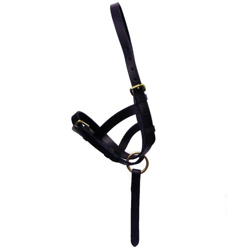 Leather foal slip - leather, |