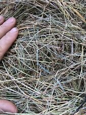 Quality Meadow Hay Round Bale