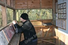 Photo 12x8 The bird hide at
