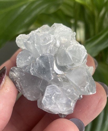Celestite small cluster - small,