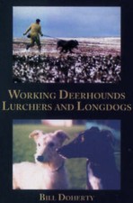 Working Deerhounds Lurchers