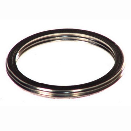 Athena exhaust gasket fits