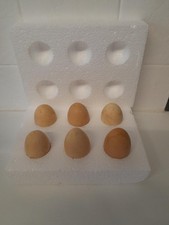 Bantam Silkie H@tching Eggs