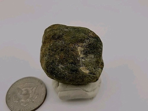 Real permineralized dinosaur - permineralized,