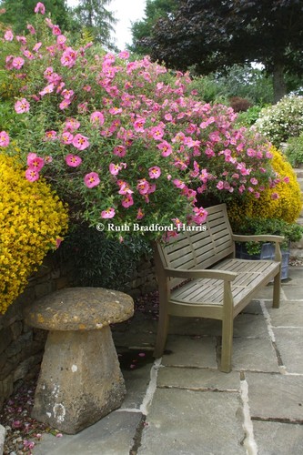 Cottage garden seat staddle - cottage,