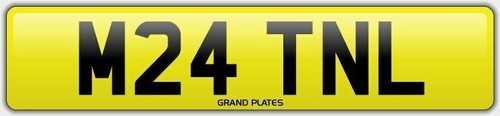 Martin number plate martins - martin,