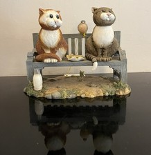 Comic & Curious Cats: (A1709)