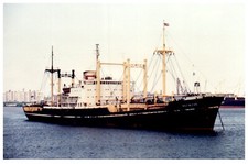 Great Welfare General Cargo