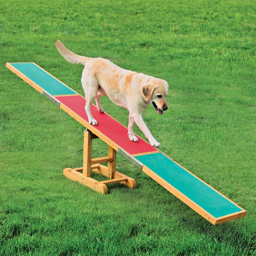 Dog agility seesaw training - seesaw,