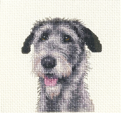 Irish wolfhound dog - puppy,