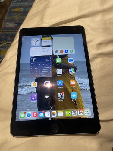 Apple ipad mini - ipad, (5th