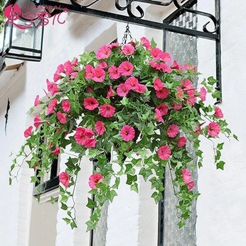 Artificial morning glory - morning,