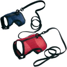 PET HARNESS & LEASH - Sharples