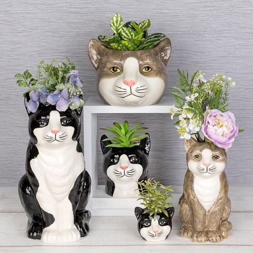 Shudehill giftware moggy - moggy, pots