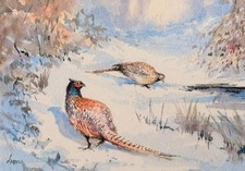 Contemporary Watercolour