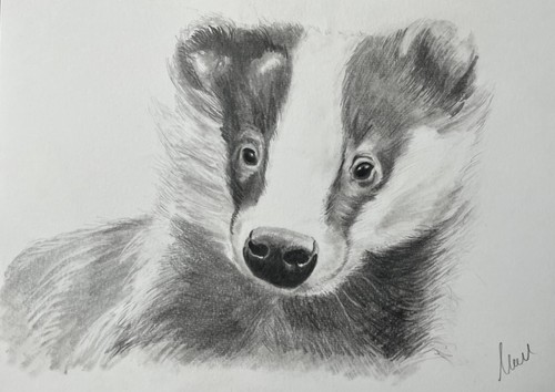 Original signed graphite - signed,