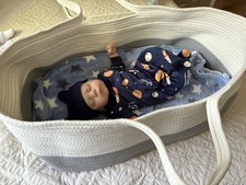 Moses Basket