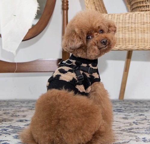 Puppia serval type harness - puppia,