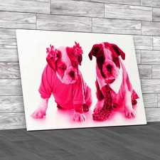 Fashion English Bulldog Puppies Girl Boy Pink Canvas Print Large Picture Wall