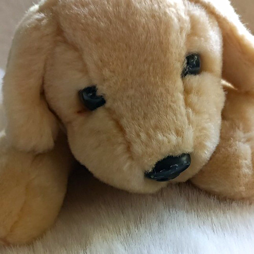 Andrex puppy plush - puppy, toy