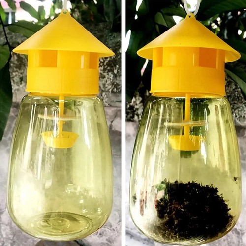 Reusable fruit fly - fruit, killer