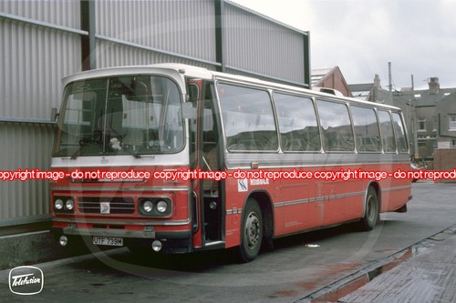 Bus coach photo - coach, ribble